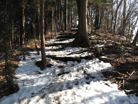 20160128hike (270)
